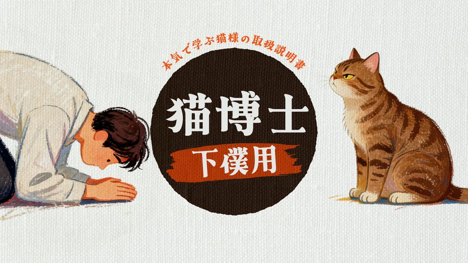 『猫博士 下僕用ー本気で学ぶ猫様の取扱説明書ー』の公式キービジュアル