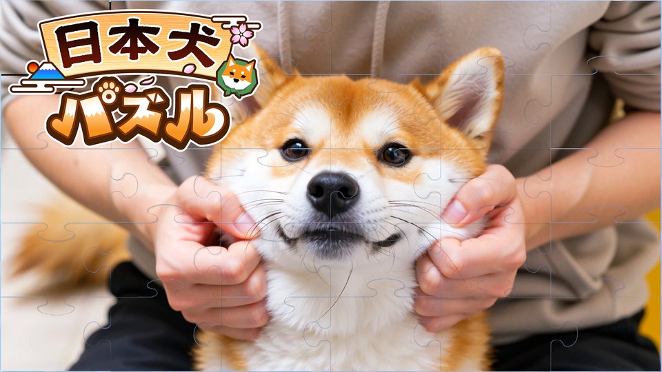 『日本犬パズル』の公式キービジュアル