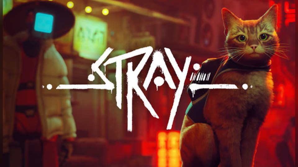 『Stray (ストレイ)』の公式キービジュアル
