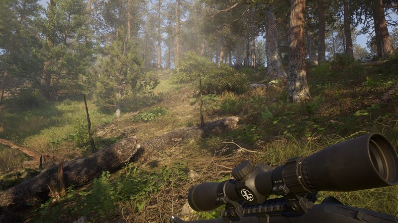 『Way of the Hunter 2（ウェイ オブ ザ ハンター2）』の公式キービジュアル